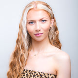 Small Round Stud Earrings in Silver and Tiger's Eye