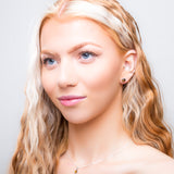 Small Round Stud Earrings in Silver and Tiger's Eye