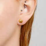 Seashell / Sea Shell Stud Earrings in Silver with 24ct Gold