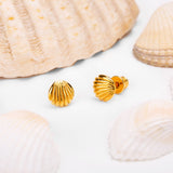Seashell / Sea Shell Stud Earrings in Silver with 24ct Gold