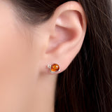 Snail in Shell Earrings in Silver and Amber
