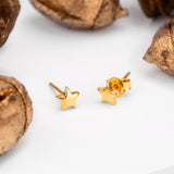 Star Stud Earrings in Silver with 24ct Gold