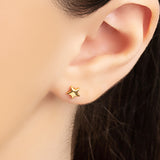 Star Stud Earrings in Silver with 24ct Gold