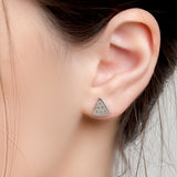Watermelon Slice Stud Earrings in Silver