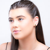 Watermelon Slice Stud Earrings in Silver with 24ct Gold